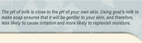 The pH of milk is close to the pH of your own skin. Using milk to make soap ensures that it will be gentler to your skin, and therefore, less likely to cause irritation and more likely to replenish moisture.